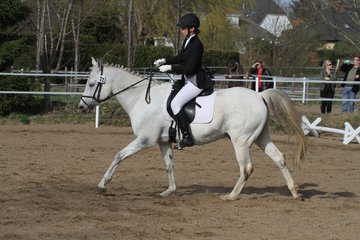 Bild 1460 - WBO-Turnier am 9.4.11